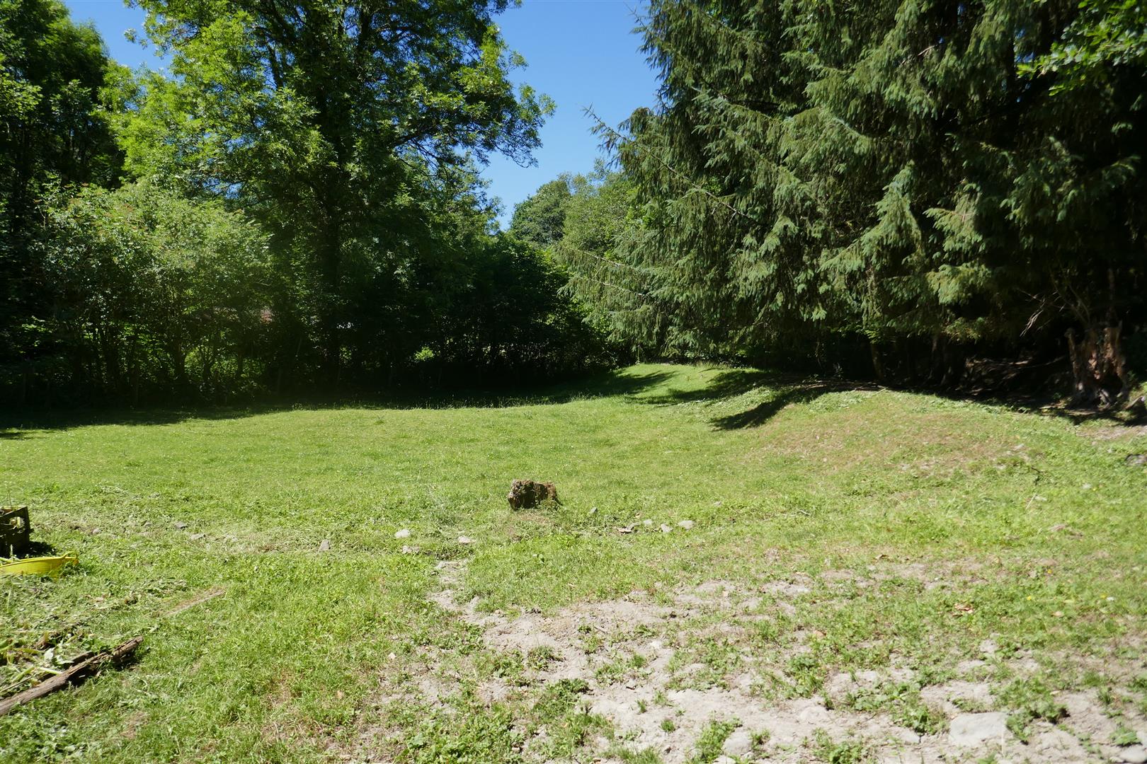 PASTURE AND AMENITY PADDOCKS